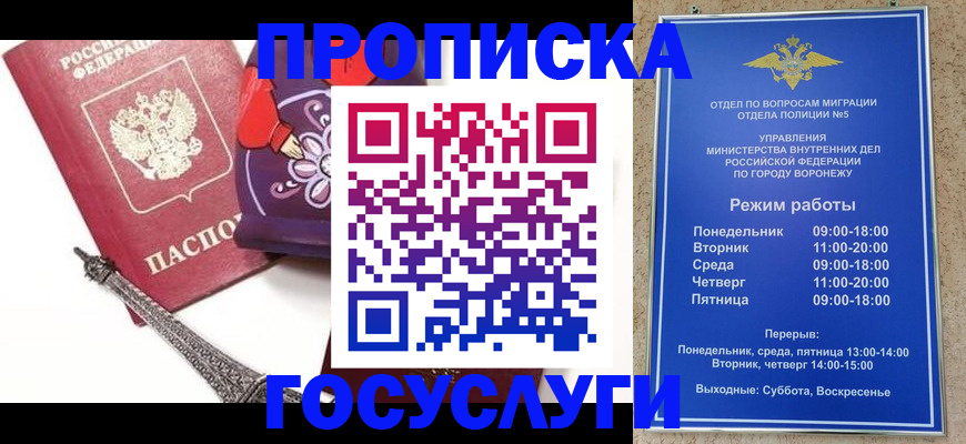 регистрация для трудоустройства в Камчатском крае